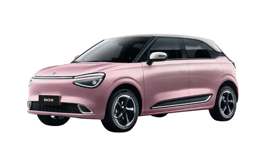 Dongfeng Nammi Box