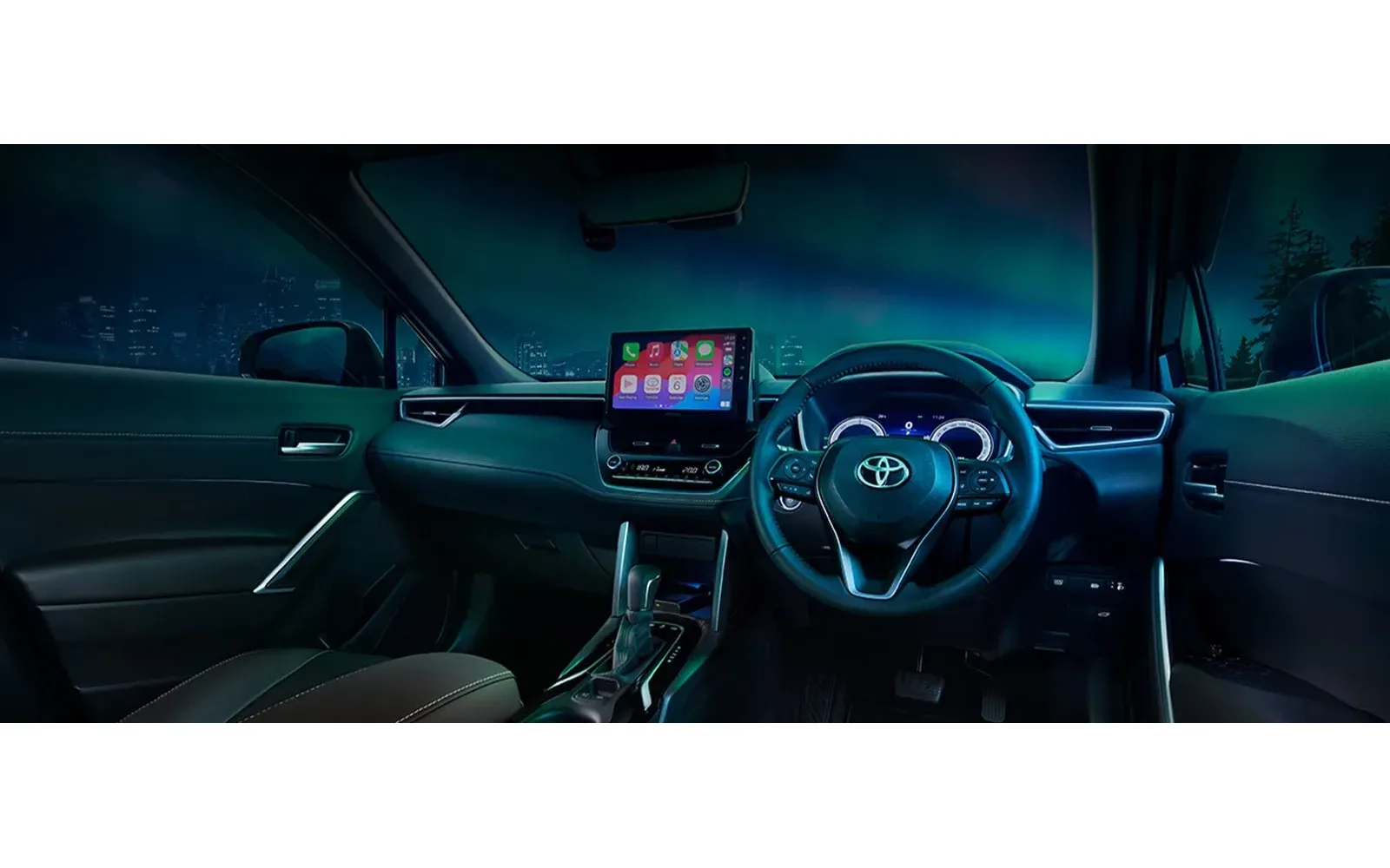 Dashboard and steering wheel view, night