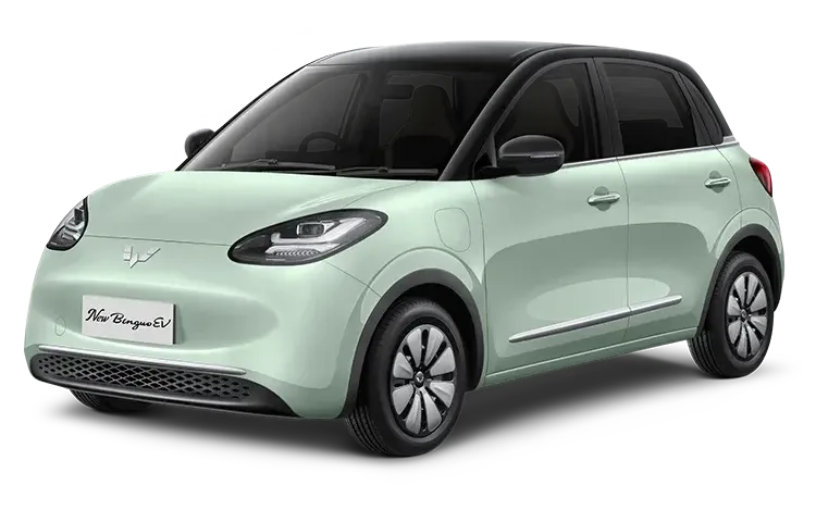 Wuling Binguo price in Nepal